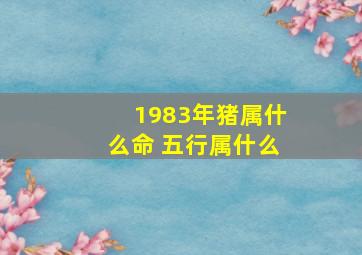 1983年猪属什么命 五行属什么